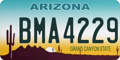 AZ license plate BMA4229