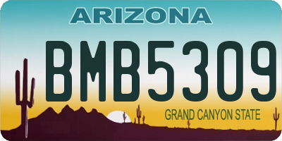 AZ license plate BMB5309