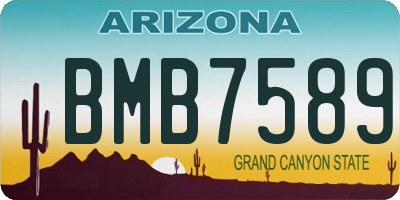 AZ license plate BMB7589