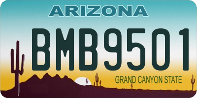 AZ license plate BMB9501