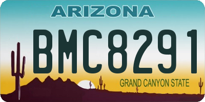 AZ license plate BMC8291