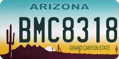 AZ license plate BMC8318