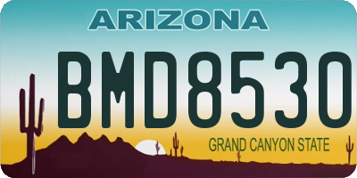 AZ license plate BMD8530