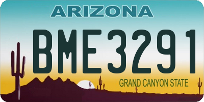 AZ license plate BME3291