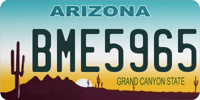 AZ license plate BME5965