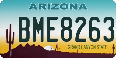 AZ license plate BME8263