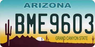 AZ license plate BME9603