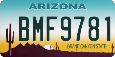 AZ license plate BMF9781