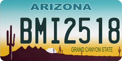 AZ license plate BMI2518
