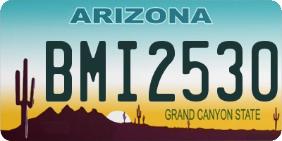 AZ license plate BMI2530