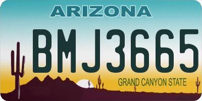 AZ license plate BMJ3665