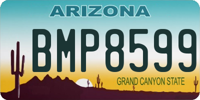 AZ license plate BMP8599