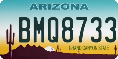 AZ license plate BMQ8733