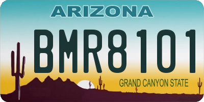 AZ license plate BMR8101