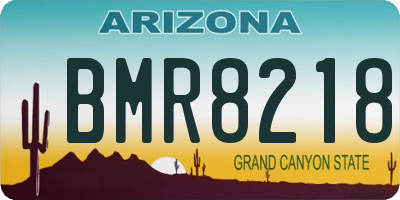 AZ license plate BMR8218