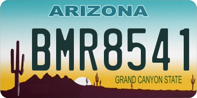 AZ license plate BMR8541