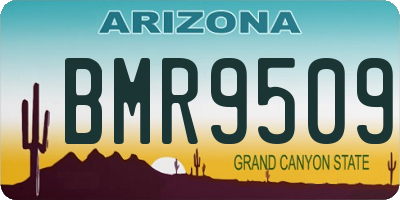 AZ license plate BMR9509