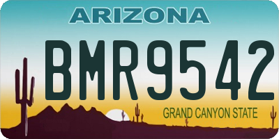 AZ license plate BMR9542