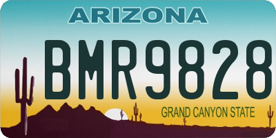 AZ license plate BMR9828