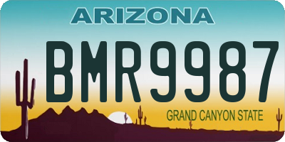 AZ license plate BMR9987