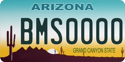 AZ license plate BMS0000