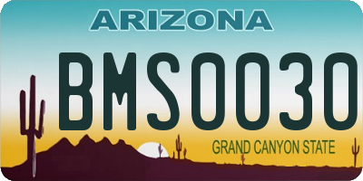 AZ license plate BMS0030