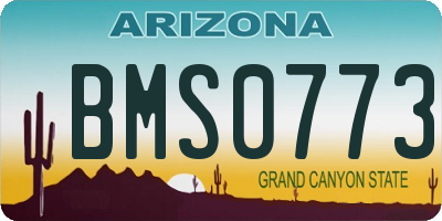 AZ license plate BMS0773