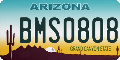 AZ license plate BMS0808