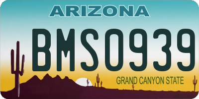 AZ license plate BMS0939