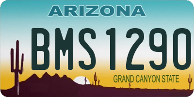 AZ license plate BMS1290