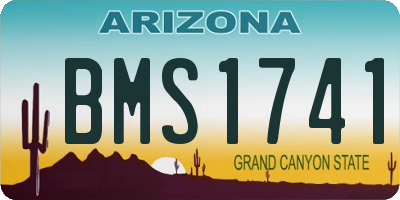 AZ license plate BMS1741