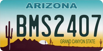 AZ license plate BMS2407