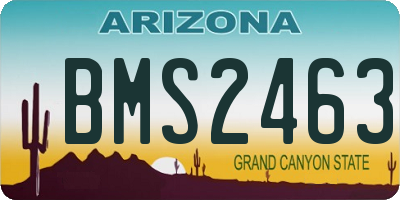 AZ license plate BMS2463