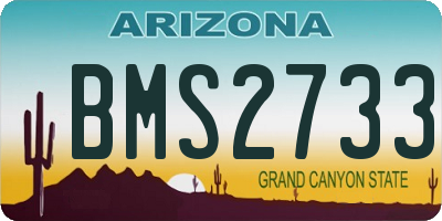 AZ license plate BMS2733