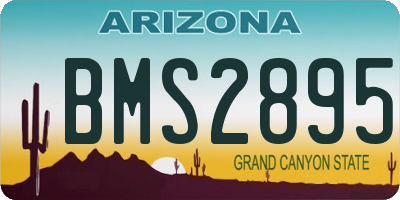 AZ license plate BMS2895