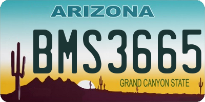 AZ license plate BMS3665