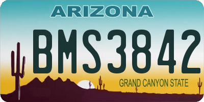 AZ license plate BMS3842