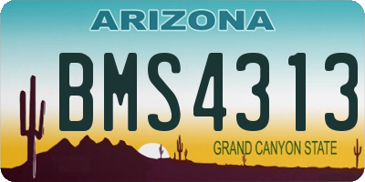 AZ license plate BMS4313