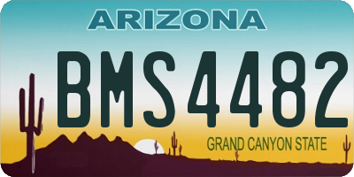 AZ license plate BMS4482