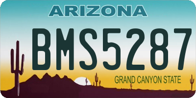 AZ license plate BMS5287