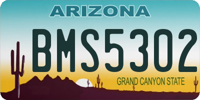 AZ license plate BMS5302