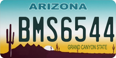 AZ license plate BMS6544