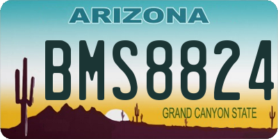AZ license plate BMS8824
