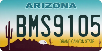 AZ license plate BMS9105