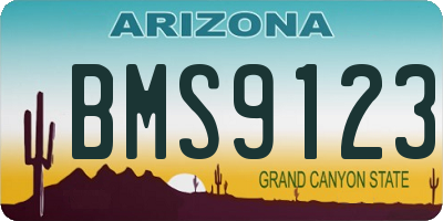 AZ license plate BMS9123