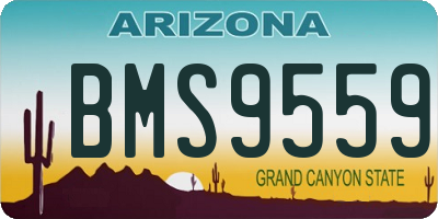 AZ license plate BMS9559