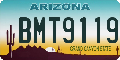 AZ license plate BMT9119