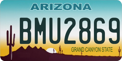 AZ license plate BMU2869