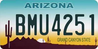 AZ license plate BMU4251