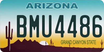 AZ license plate BMU4486